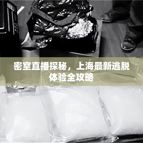 密室直播探秘，上海最新逃脱体验全攻略