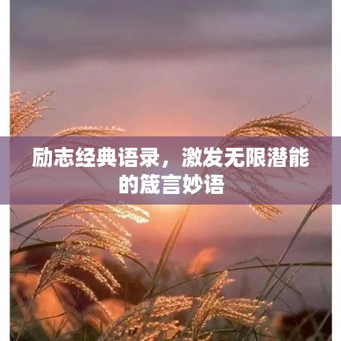 励志经典语录，激发无限潜能的箴言妙语