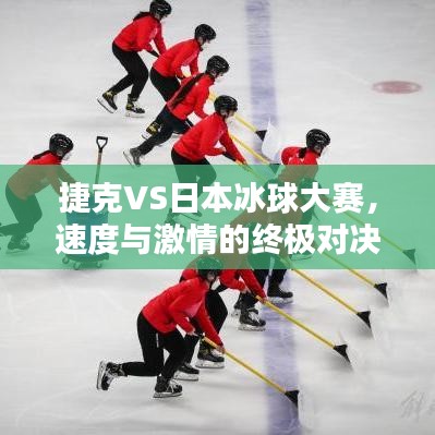 捷克VS日本冰球大赛，速度与激情的终极对决！