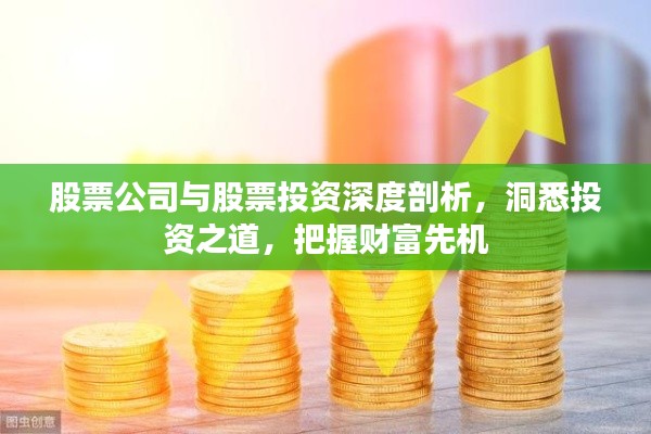 股票公司与股票投资深度剖析，洞悉投资之道，把握财富先机