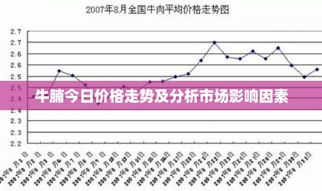 牛腩今日价格走势及分析市场影响因素