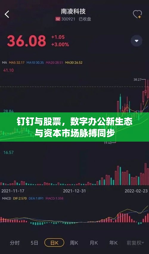 钉钉与股票，数字办公新生态与资本市场脉搏同步