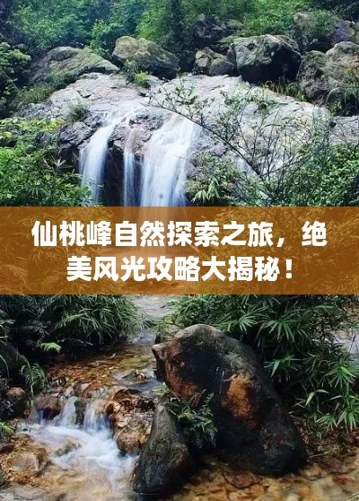 仙桃峰自然探索之旅，绝美风光攻略大揭秘！