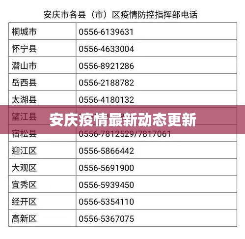 安庆疫情最新动态更新