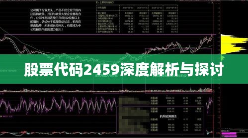 股票代码2459深度解析与探讨