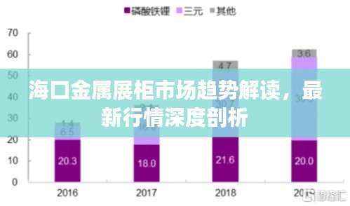 海口金属展柜市场趋势解读，最新行情深度剖析