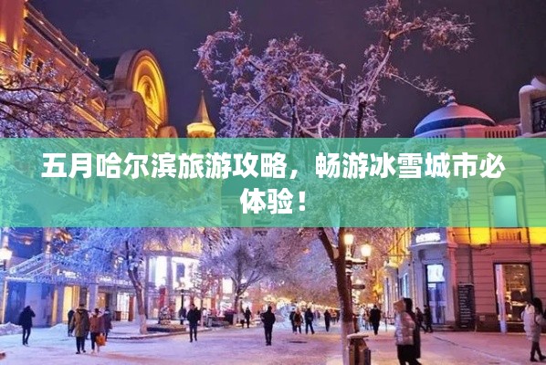 五月哈尔滨旅游攻略，畅游冰雪城市必体验！