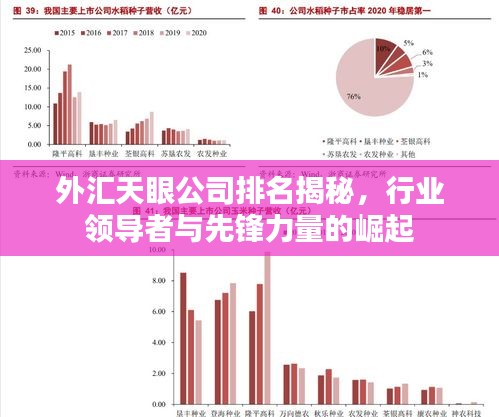 外汇天眼公司排名揭秘，行业领导者与先锋力量的崛起