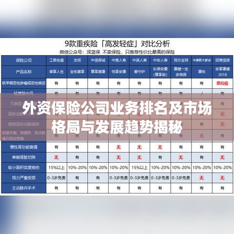 外资保险公司业务排名及市场格局与发展趋势揭秘