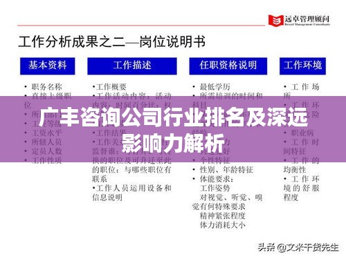 广丰咨询公司行业排名及深远影响力解析