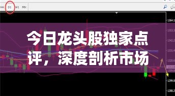 今日龙头股独家点评，深度剖析市场走势