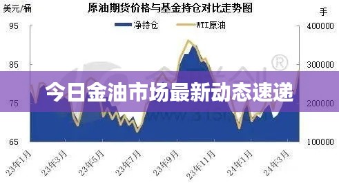 今日金油市场最新动态速递