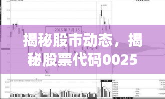 揭秘股市动态，揭秘股票代码002549每日行情分析