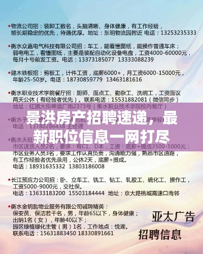 景洪房产招聘速递，最新职位信息一网打尽