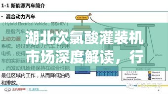 湖北次氯酸灌装机市场深度解读，行情分析与趋势展望