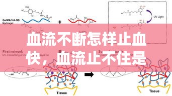 血流不断怎样止血快，血流止不住是什么原因 