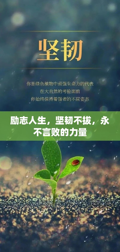 励志人生，坚韧不拔，永不言败的力量