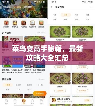 菜鸟变高手秘籍，最新攻略大全汇总