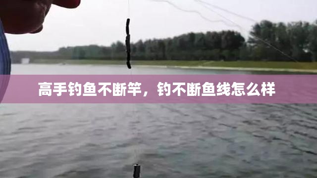 高手钓鱼不断竿，钓不断鱼线怎么样 