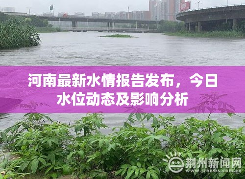 河南最新水情报告发布，今日水位动态及影响分析