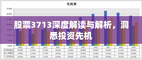 股票3713深度解读与解析，洞悉投资先机