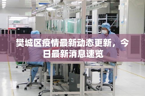樊城区疫情最新动态更新，今日最新消息速览