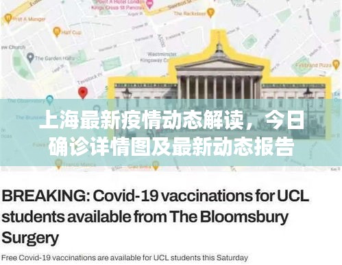 上海最新疫情动态解读，今日确诊详情图及最新动态报告