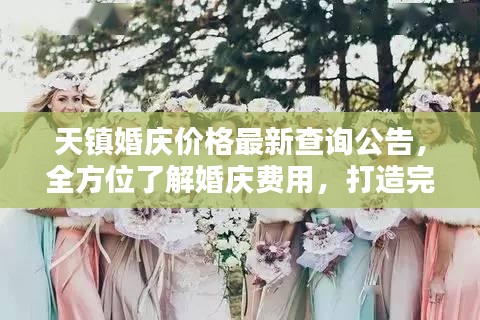 天镇婚庆价格最新查询公告，全方位了解婚庆费用，打造完美婚礼！